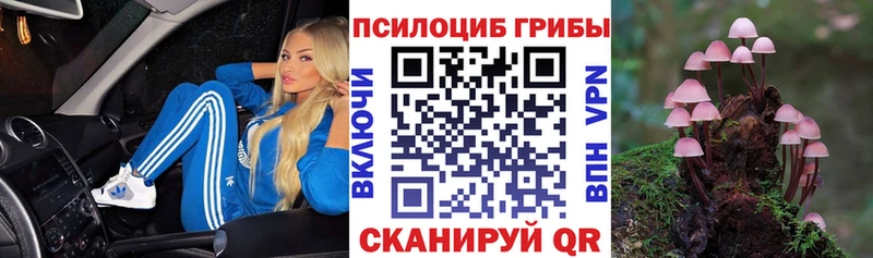 Галлюциногенные грибы Magic Shrooms  Лаишево 
